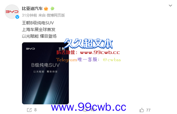 上海车展全球首发！比亚迪王朝全新B级纯电SUV预告：屁股很诱人