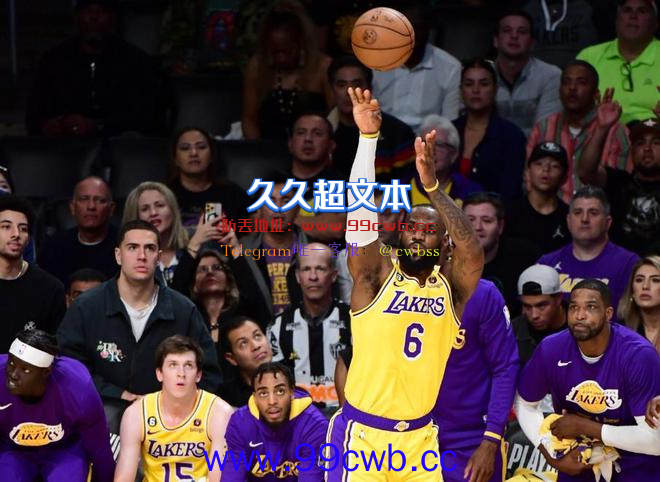 正式退役，再见NBA！以湖人球员身份离场，唯一的遗憾是缺少机会插图