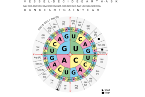 將種子保存在 DNA 中：比特幣作為訊息
