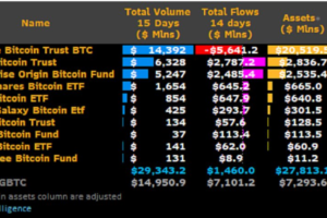 穩定力量：比特幣 ETF 流入如何因應價格波動