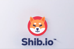 ShibaSwap 在 Shibarium 上首次亮相，功能已揭晓