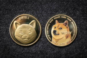 柴犬团队成员透露新游戏开发情况，它会是什么？