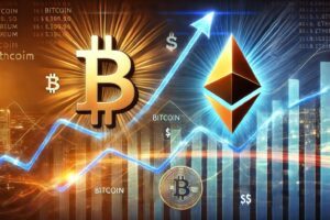 2024 年第二季度数据显示，比特币的费用现在与以太坊一样昂贵