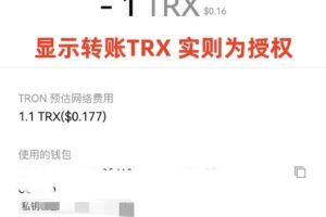 【商业资源】2025最新IM+TP钱包无提示授权/带TG群代理系统/带搭建教程